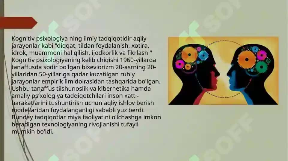 Kognitiv yo`nalish 2