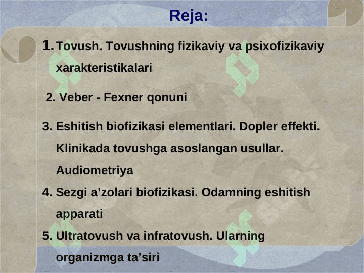 Bioakustika 2