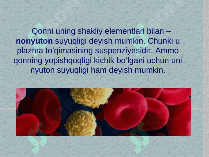 Bioreologiya 6