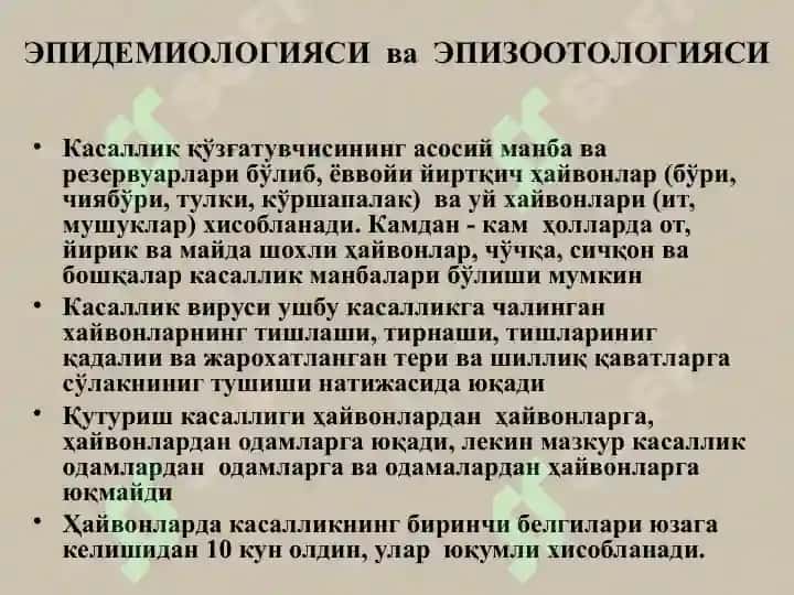 Қутуриш 7