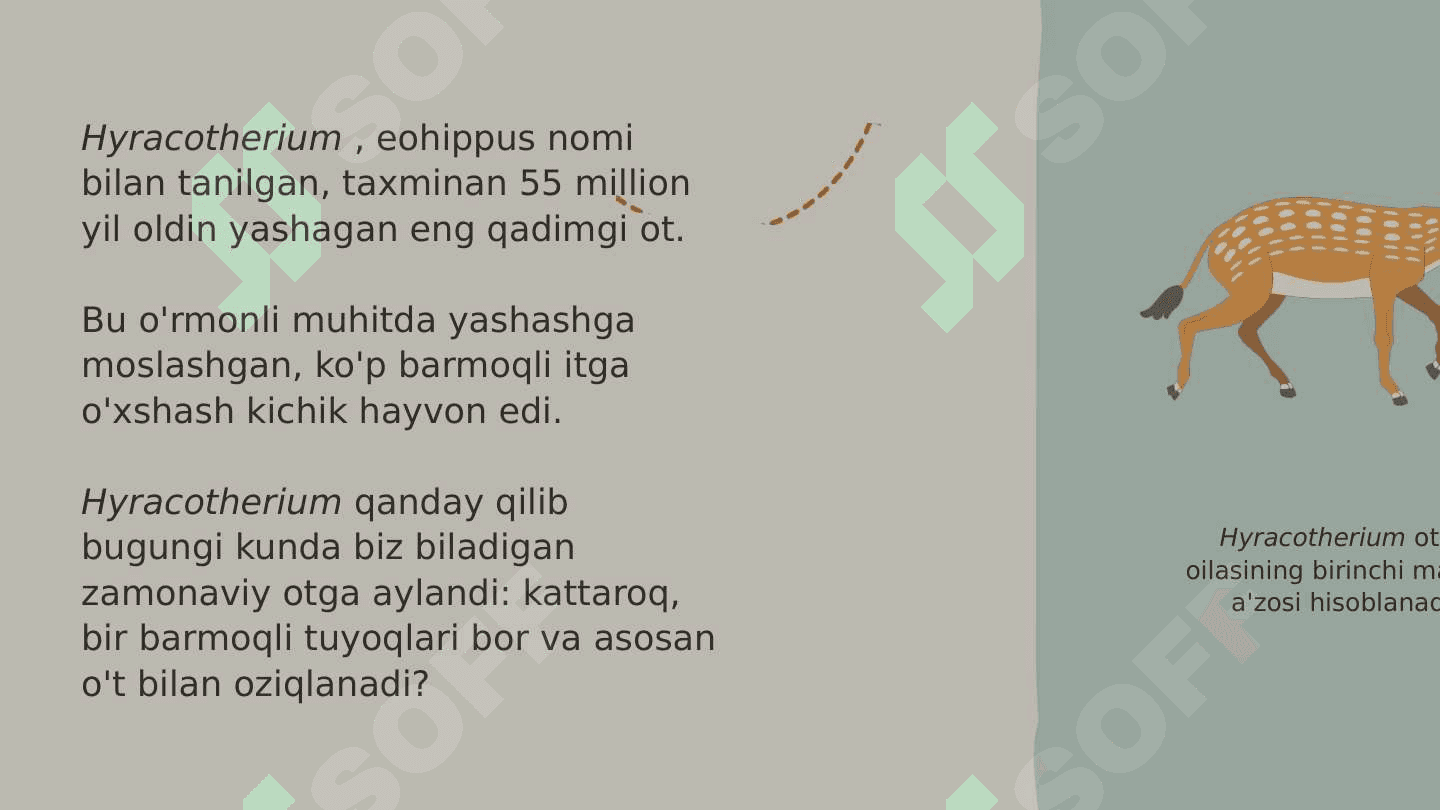 Evolyutsiya 3
