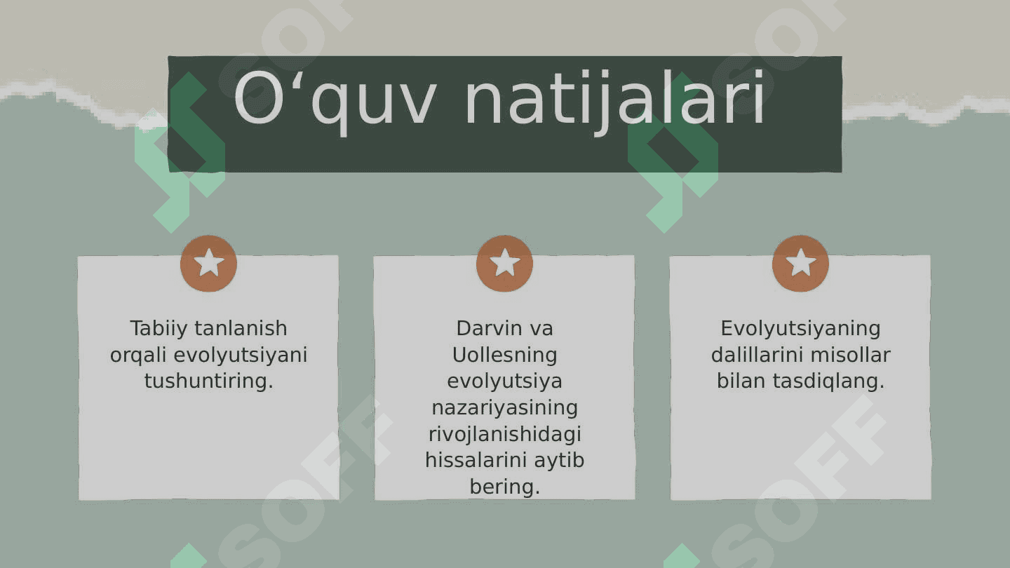 Evolyutsiya 4