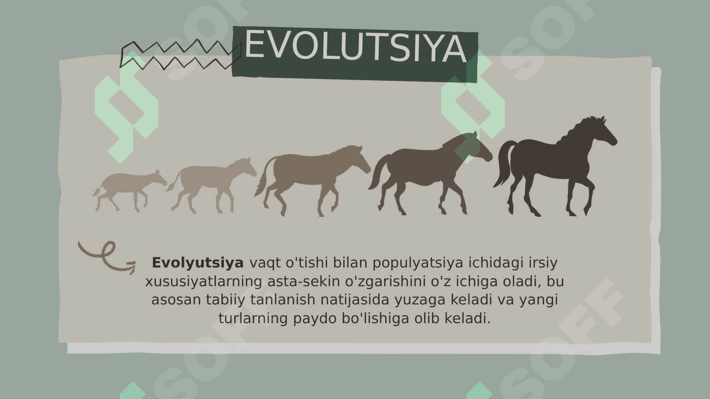 Evolyutsiya 5