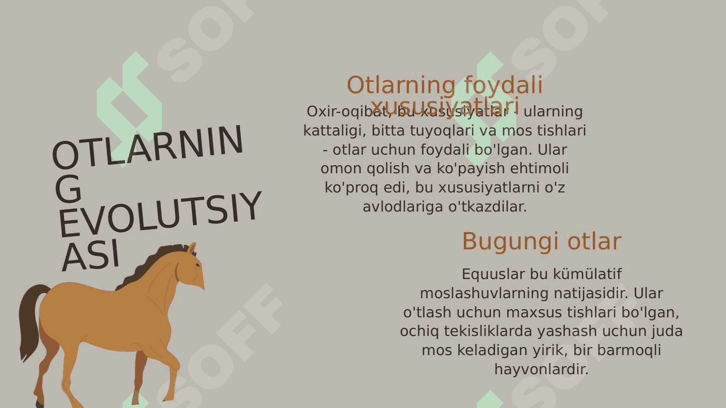 Evolyutsiya 8