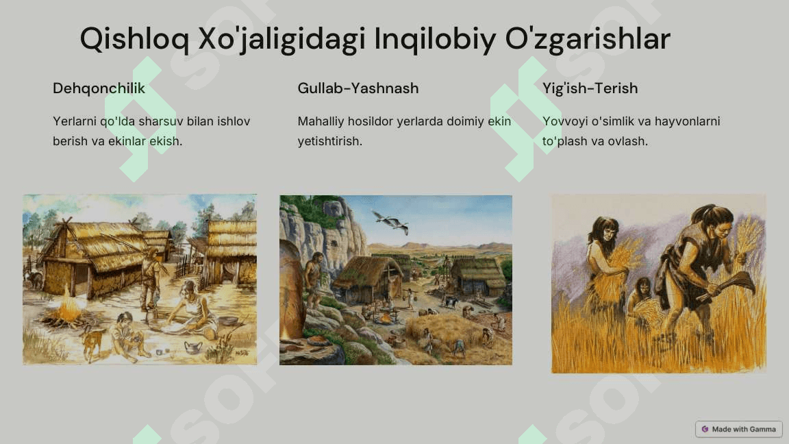 Neolitik-Davr-Inqilobi 2