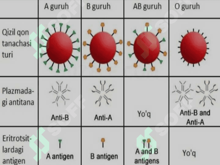Qon guruhlari va rezus faktorni aniqlash 3