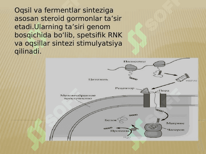 Oqsil sintezi ingibitorlari 2