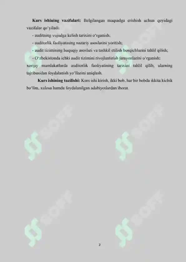 Auditning paydo bo’lishi va rivojlanishi 3