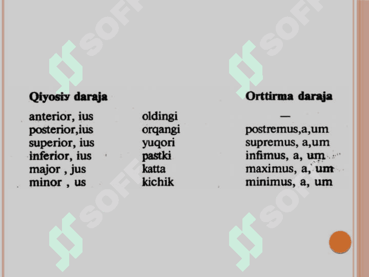 Lotin tilida sifat darajalari 3