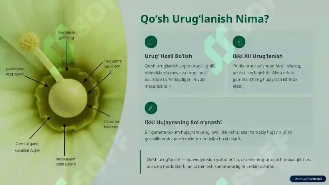 Qo'sh urug'lanish 2