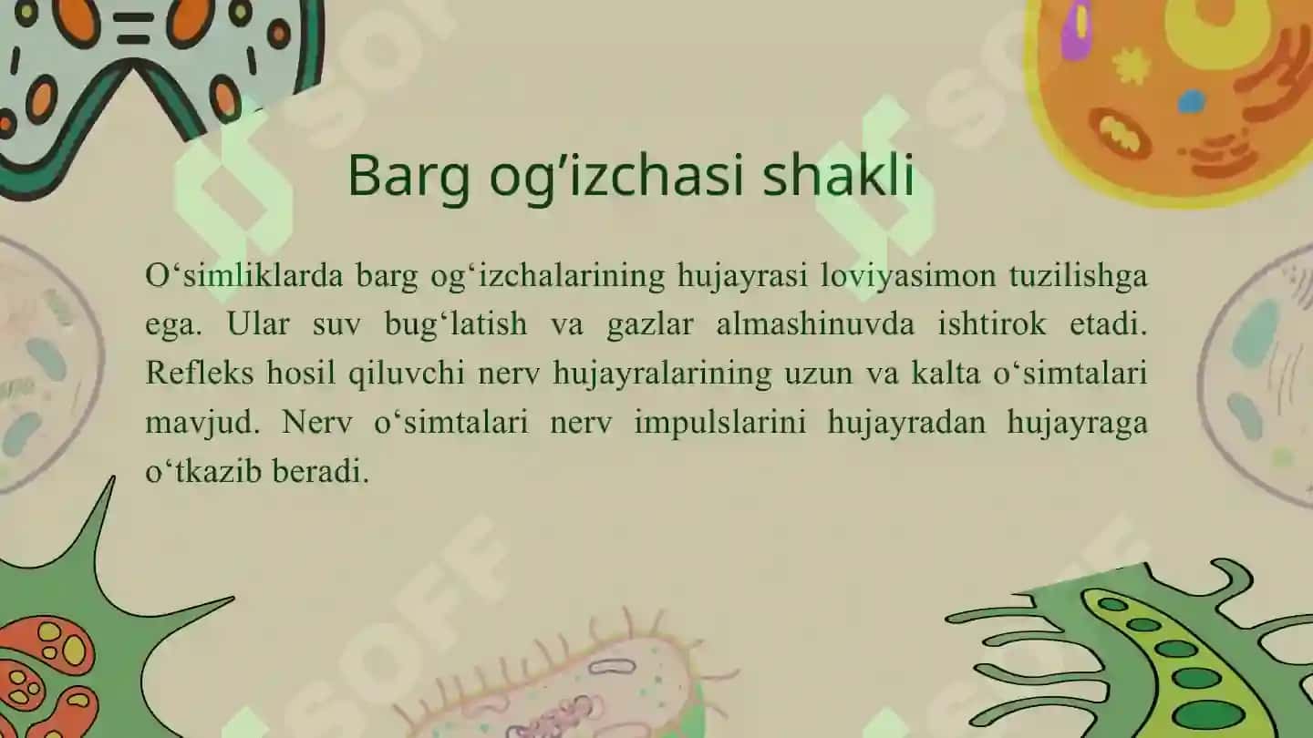Hujayra tiriklikning asosi taqdimot 4