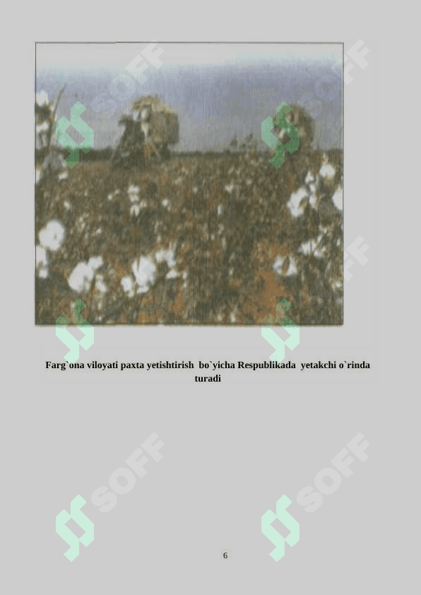 Farg’ona viloyati qishloq xojaligi 6