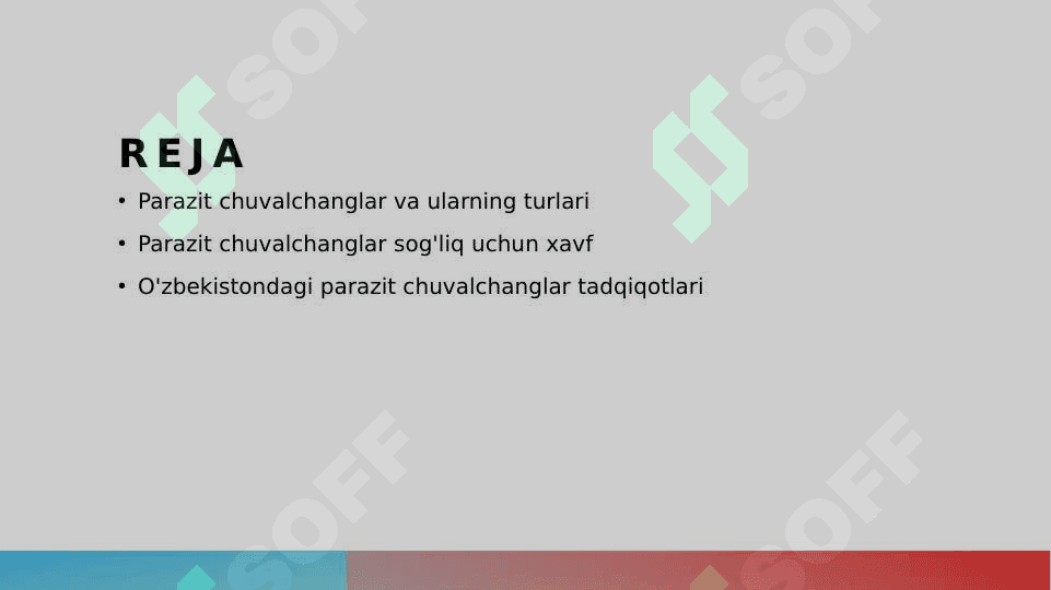 Parazit chuvalchanglar 2