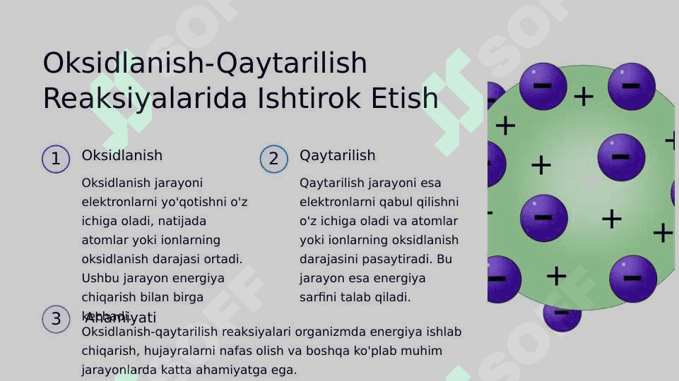 Radioaktiv Elementlar: Inson Organizmidagi Ta'siri 3