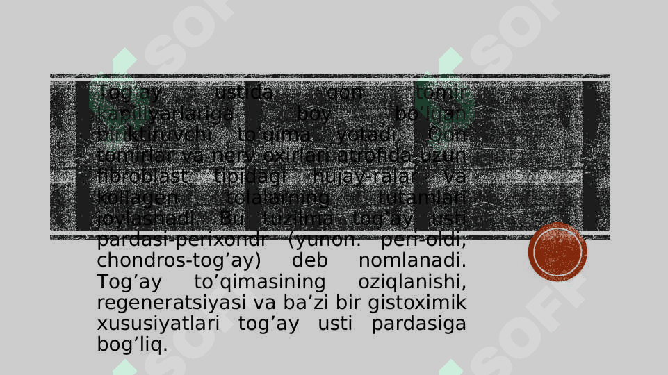 TOG`AY TO`QIMASI 3