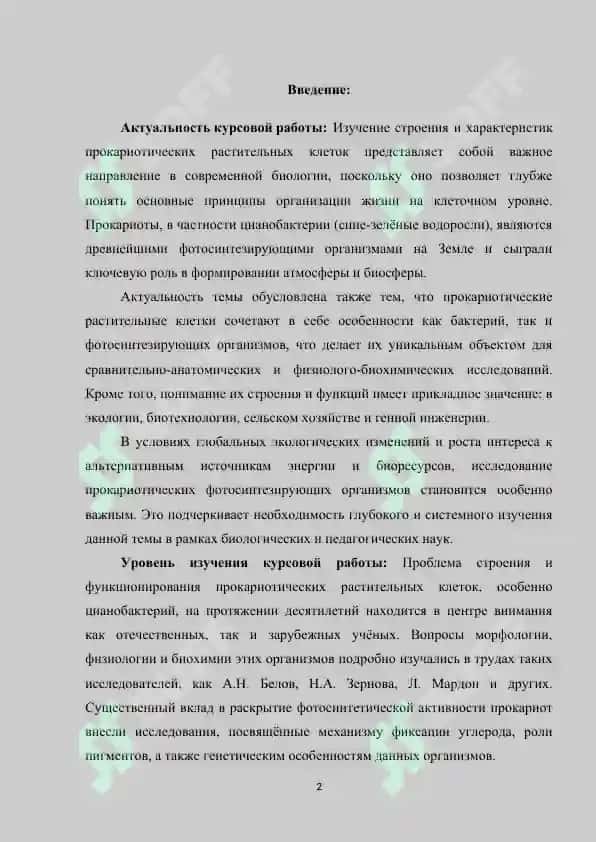 Строение и характеристики прокариотической растительной клетки 2