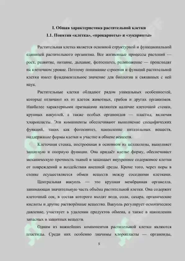 Строение и характеристики прокариотической растительной клетки 5
