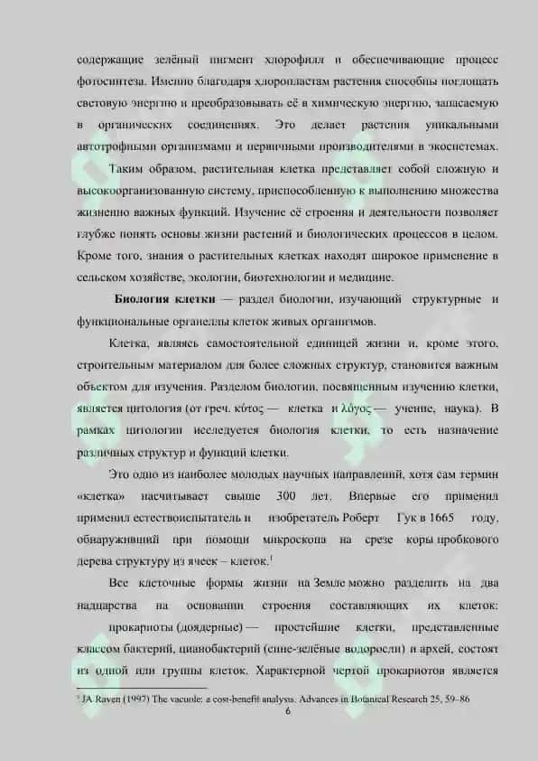 Строение и характеристики прокариотической растительной клетки 6