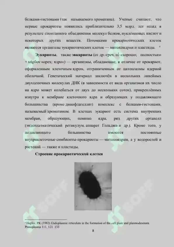 Строение и характеристики прокариотической растительной клетки 8
