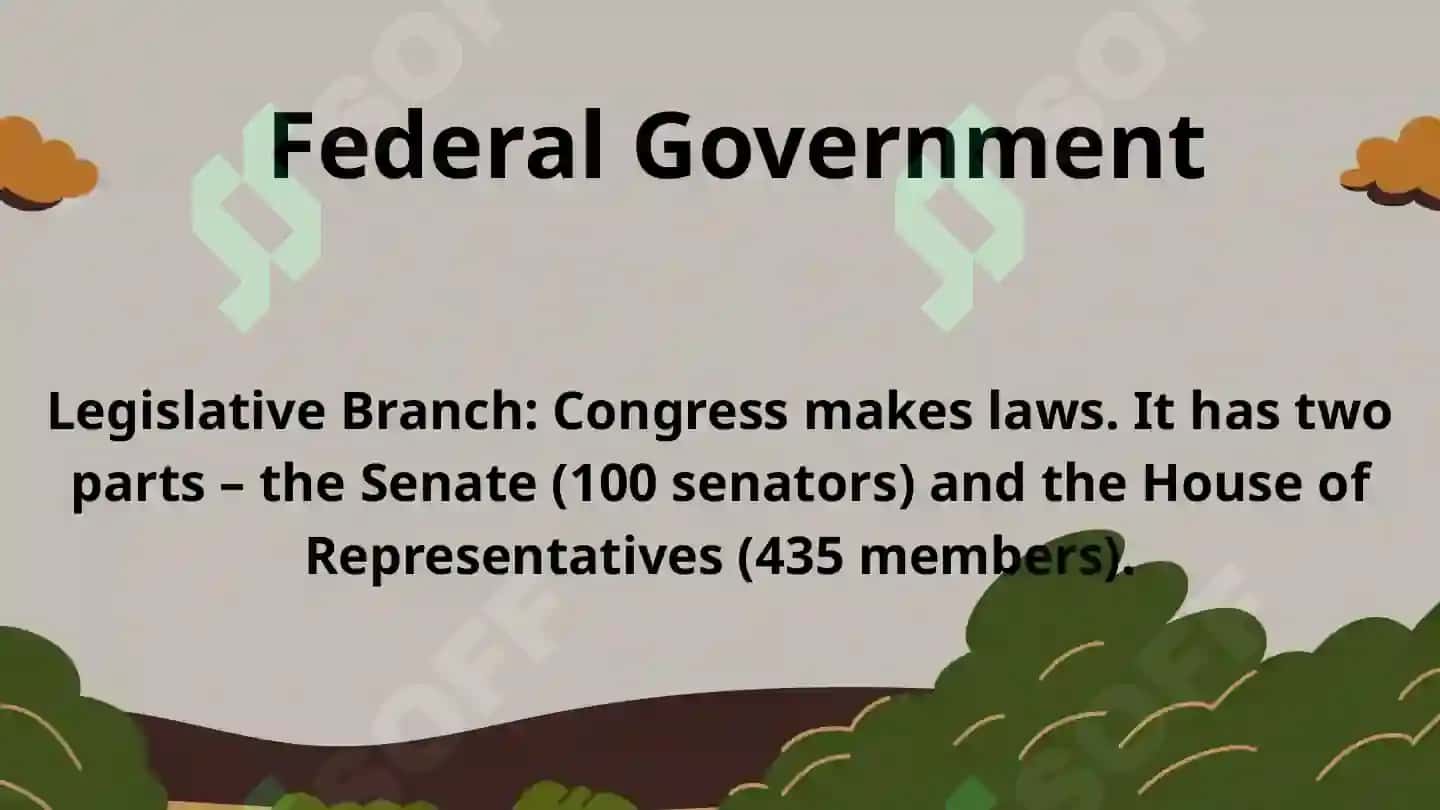 The government and state structure of the USA 4