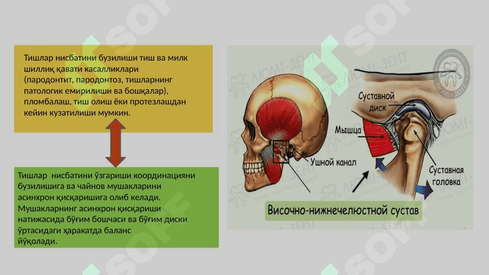 ChPJB ogʻriqli disfunksiya
 sindromi, osteoartroz 3