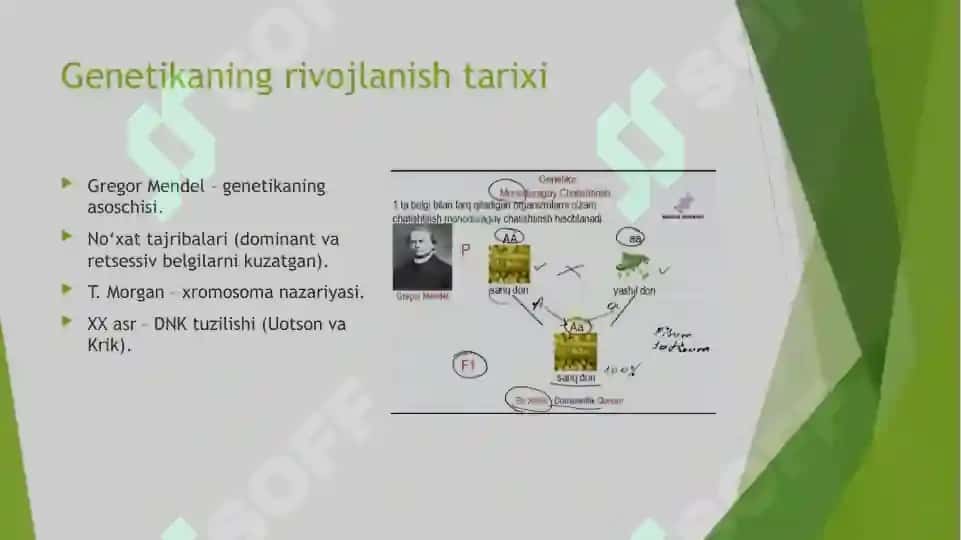 Umumiy Genetika Asoslari 3