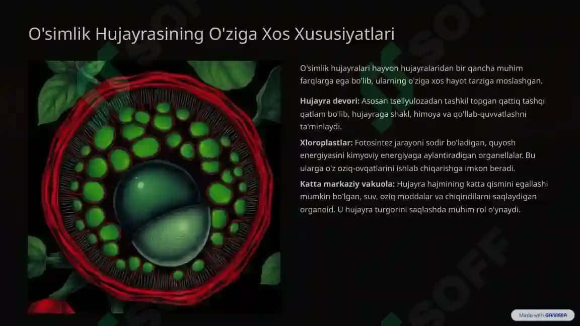 O'simliklar va Hayvonlar hujayrasi 3