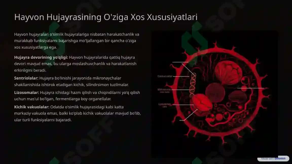 O'simliklar va Hayvonlar hujayrasi 4