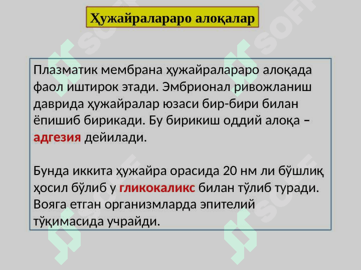 ҲУЖАЙРАЛАРАРО БОҒЛАНИШЛАР. 4
