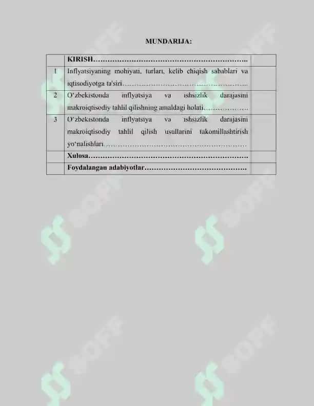 inflyatsiya kurs ishi 2