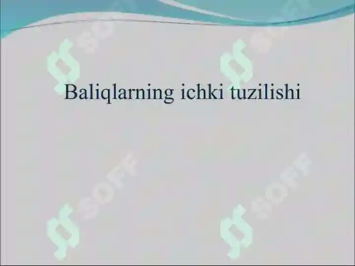 Baliqlarning ichki tuzilishi ” dars ishlanma 2