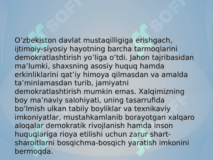Inson huquqlari va erkinliklari kafolatining yaratilishi 3