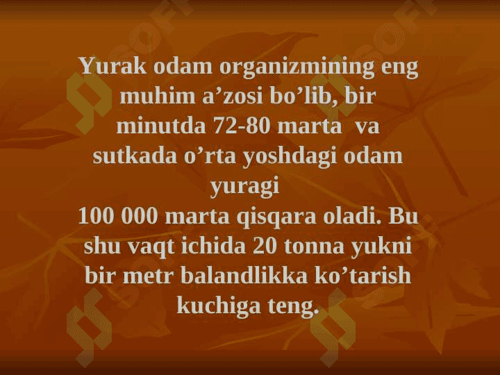 YURAK ANATOMIYASI 4