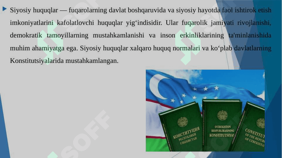 Siyosiy huquqlar 6