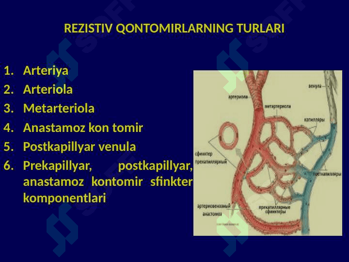 Qon Tomir Fiziologiyasi 1