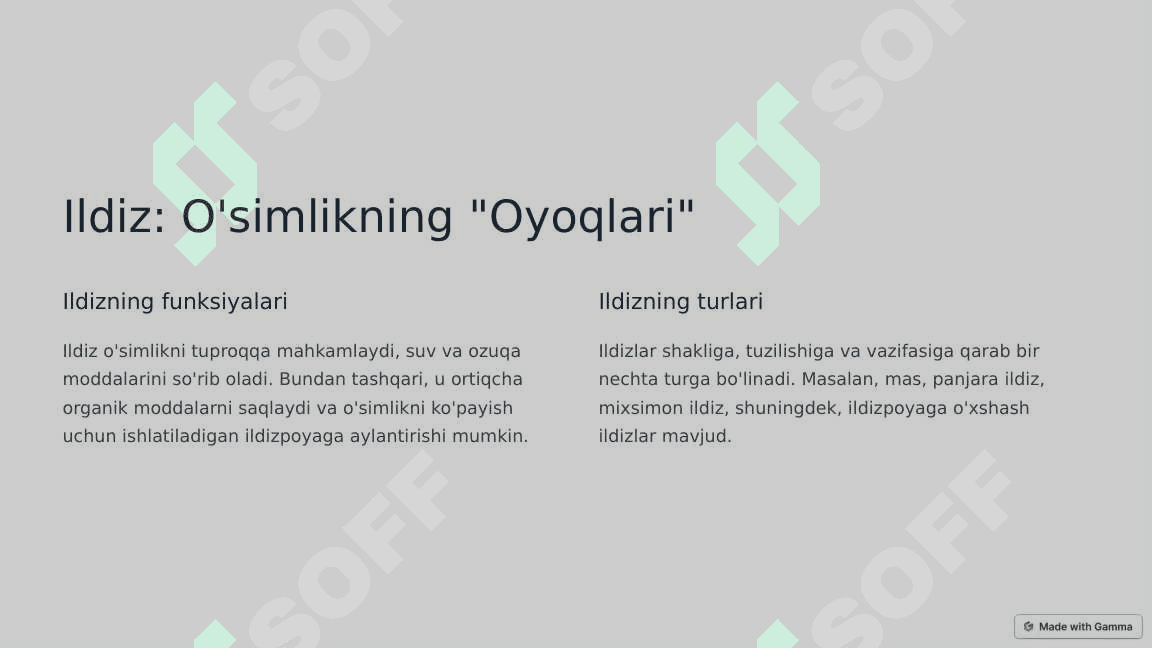 O'simliklarning vegetativ organlari 2