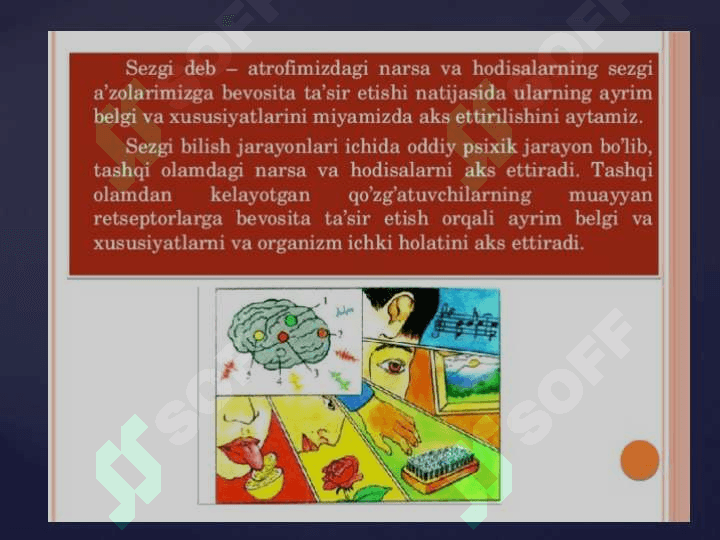 KASBIY FAOLIYATDA BILISH JARAYONLARI 4