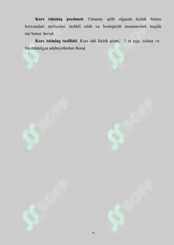 Kichik biznes va xususiy tadbirkorlik 4