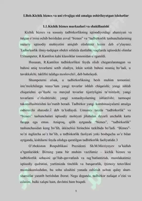 Kichik biznes va xususiy tadbirkorlik 5