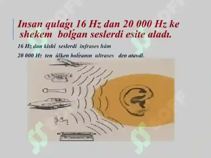 Ses derekleri hám onı qabıllaǵıshlar 6