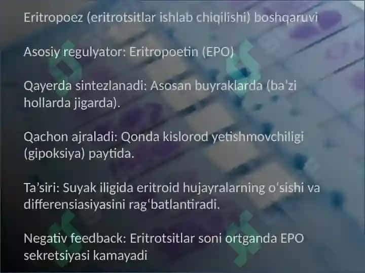 Gemositopoez jarayonlarining boshqariluvi 4