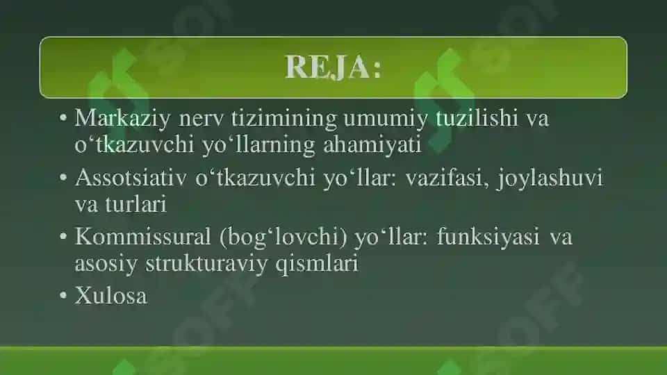 Markaziy nerv tizimining oʻtkazuvchi yoʻllari 2