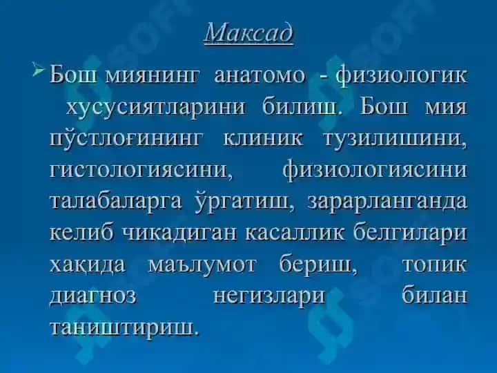 Бош мия пўстлоғи 2