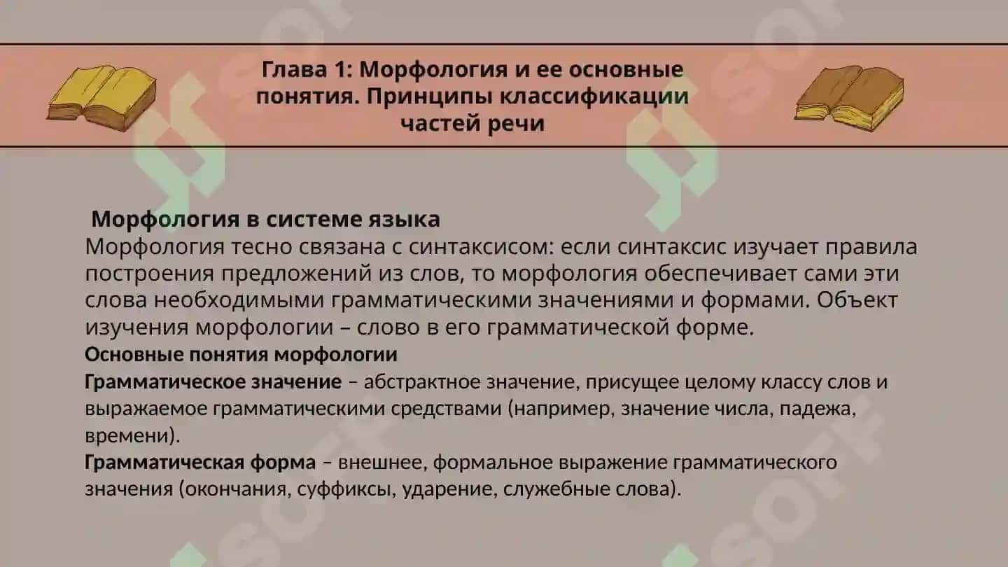 Морфология 4