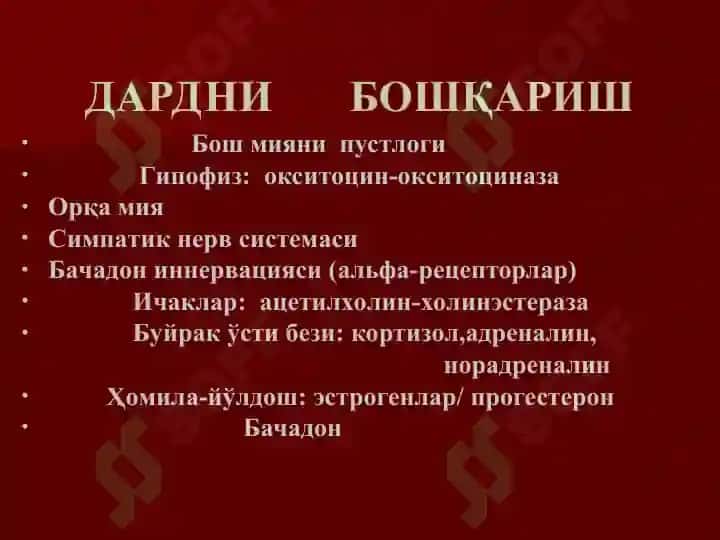 ДАРД НИ БОШҚАРИШ 3