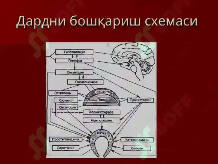 ДАРД НИ БОШҚАРИШ 4