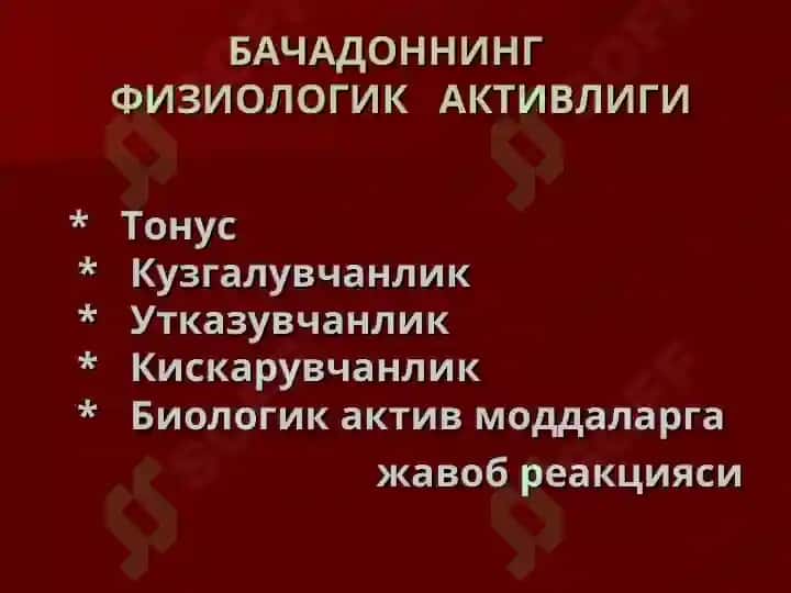ДАРД НИ БОШҚАРИШ 5