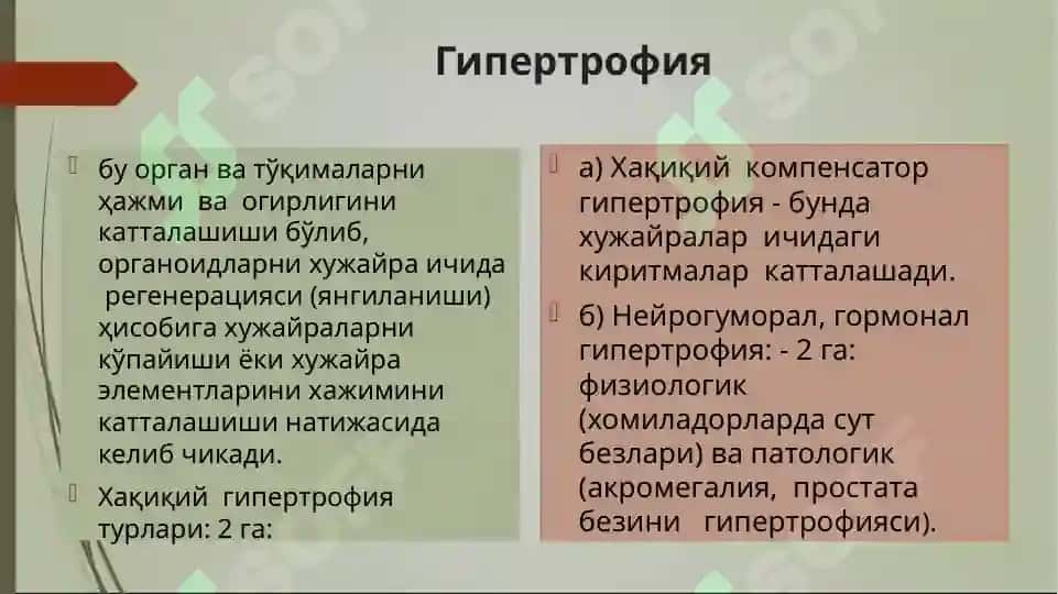 Усма 3