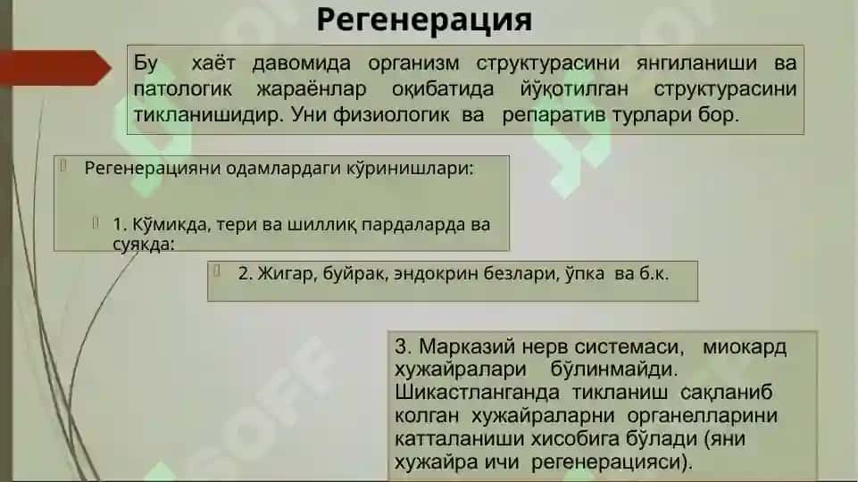 Усма 4