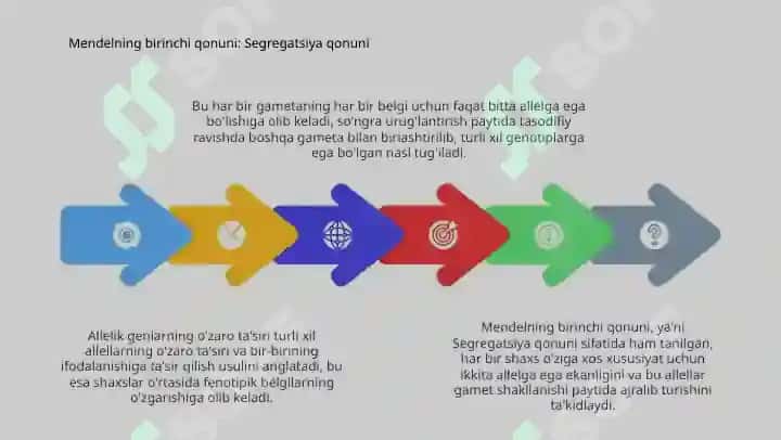Mendelning 1-2 qonuni, allel genlarning o'zaro ta'siri 4